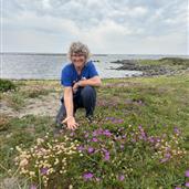 Strandblomst er