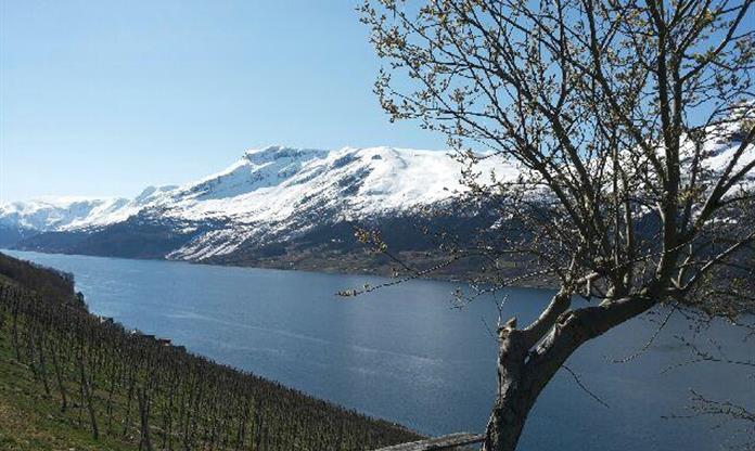 Gunnvald